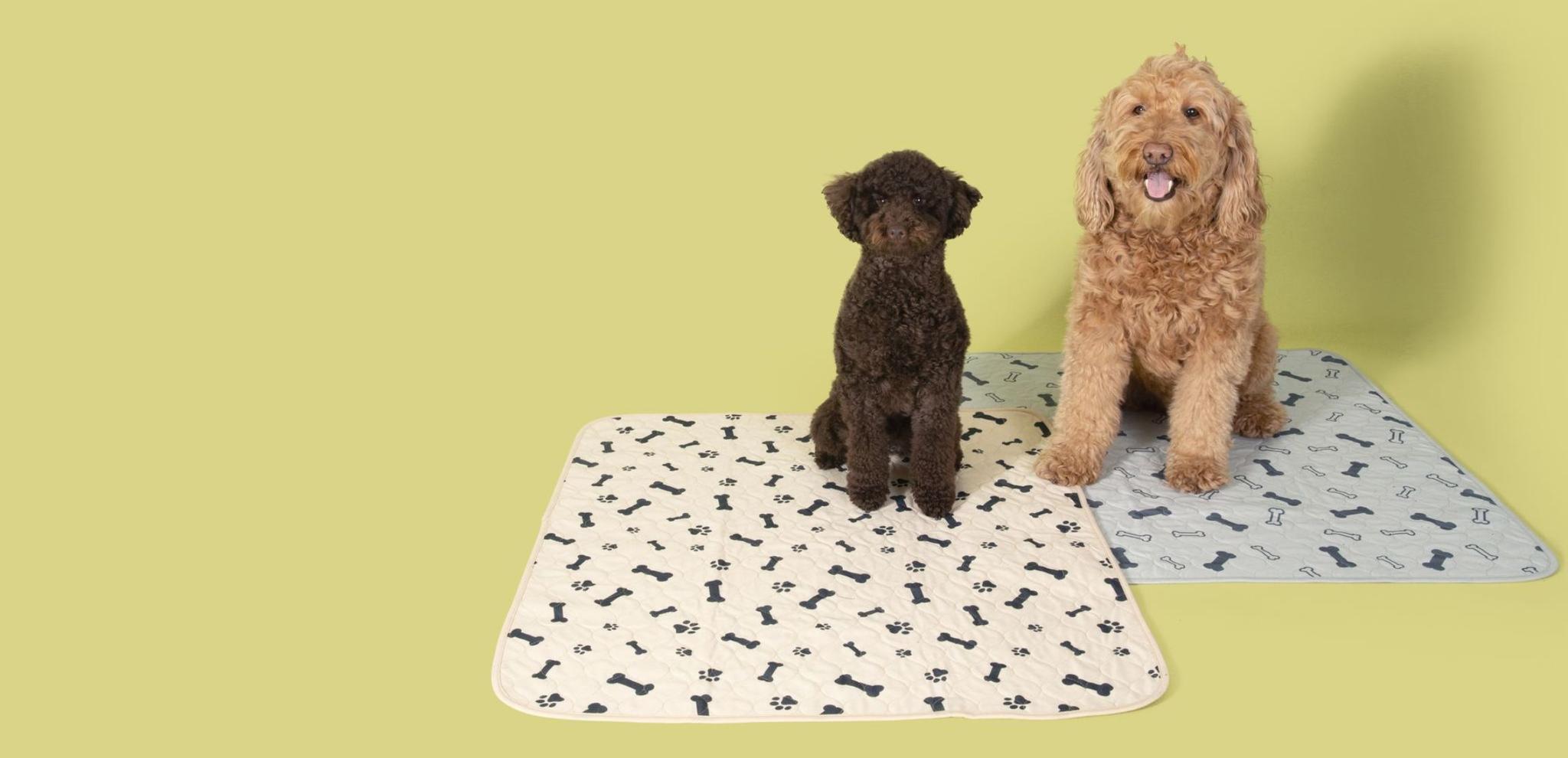 How to Wash Your Reusable Pee Pad Potty Buddy™