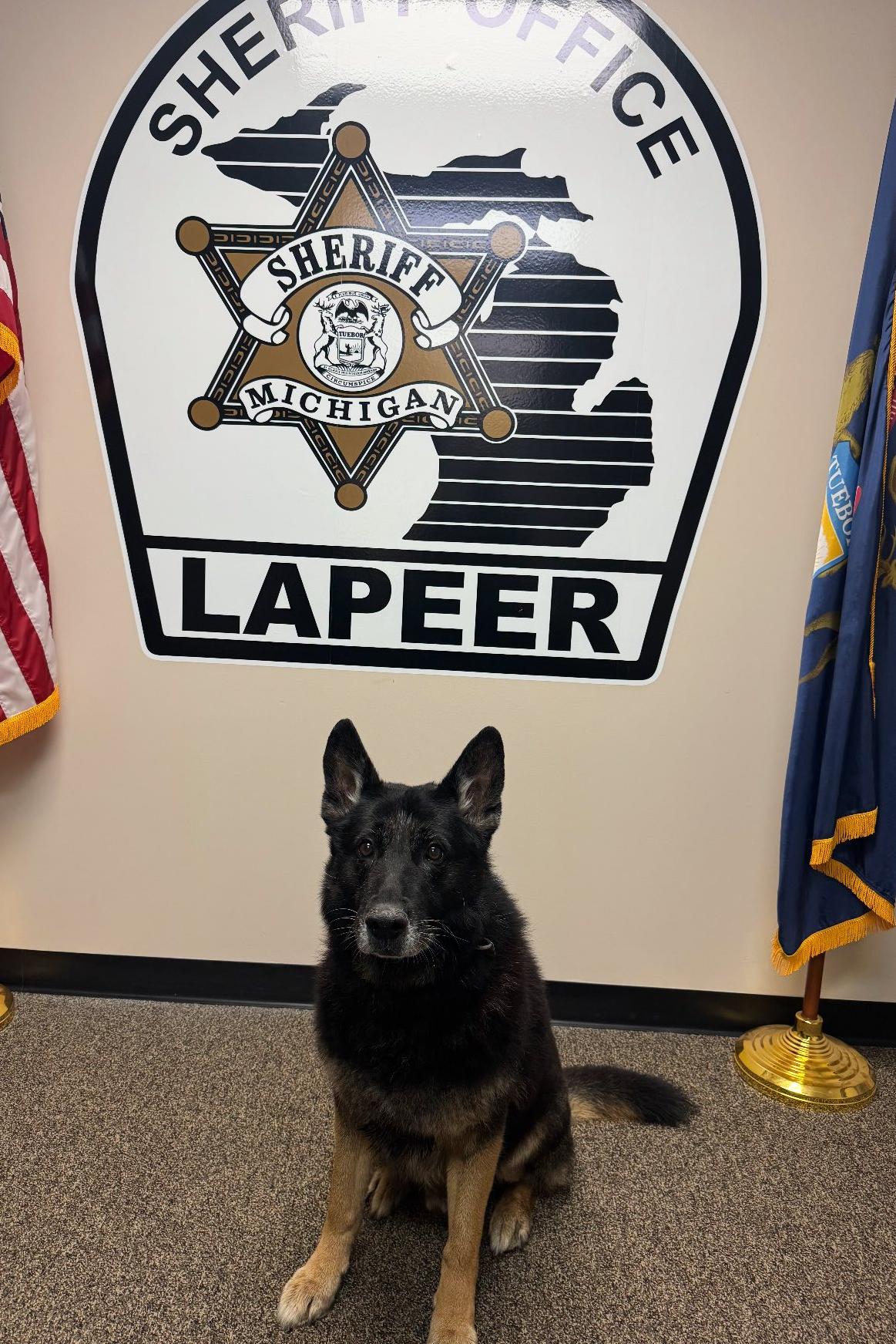 k9 axel with lapeer sheriff's office sign