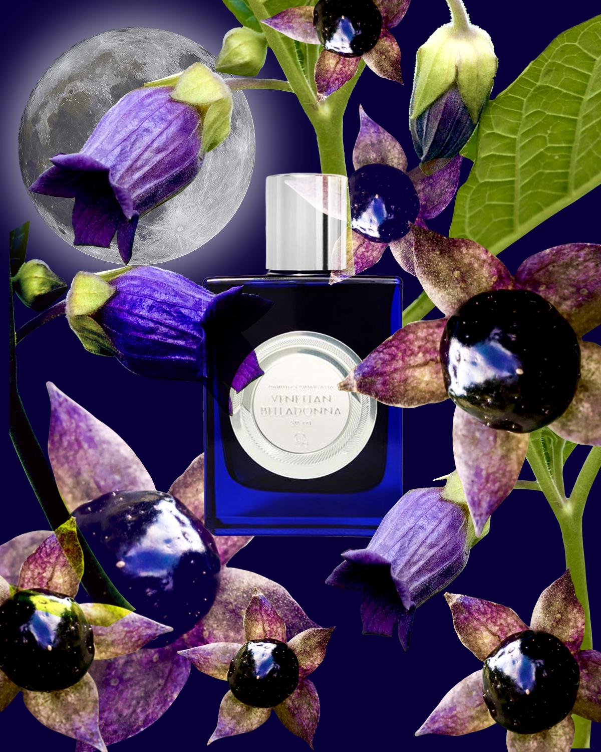 Venetian Belladonna by Quartana