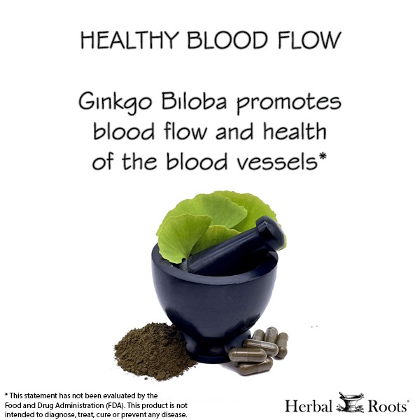 Ginkgo leaves in a mortar and pestle with loose powder and capsules surrounding the mortar. Text on the image "Healthy Blood Flow - Ginkgo biloba promotes blood flow and health of the blood vessels* Statement not evaluate by the FDA.