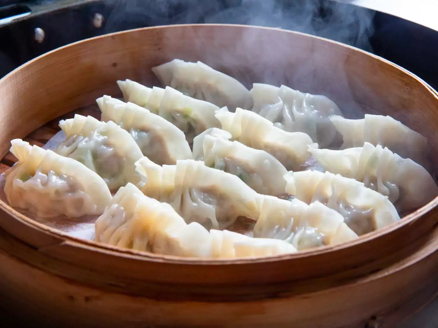 Pork-Dumplings