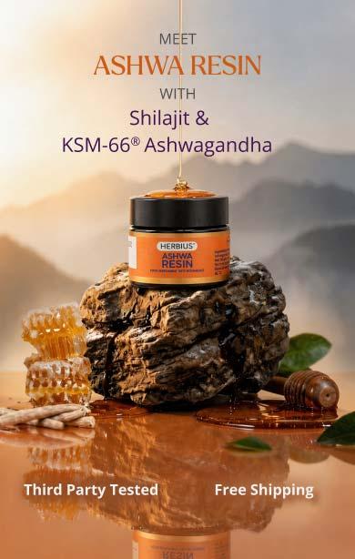 Maak kennis met AshwaResin – Shilajit & KSM-66 Ashwagandha