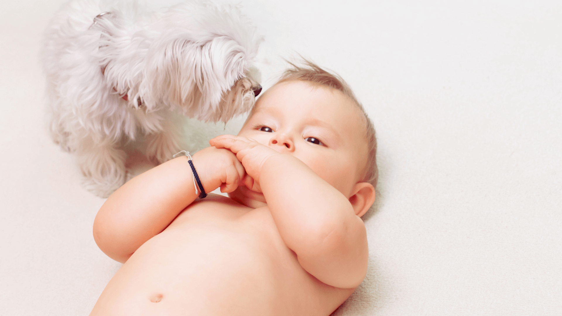 Cover image - pets and babies