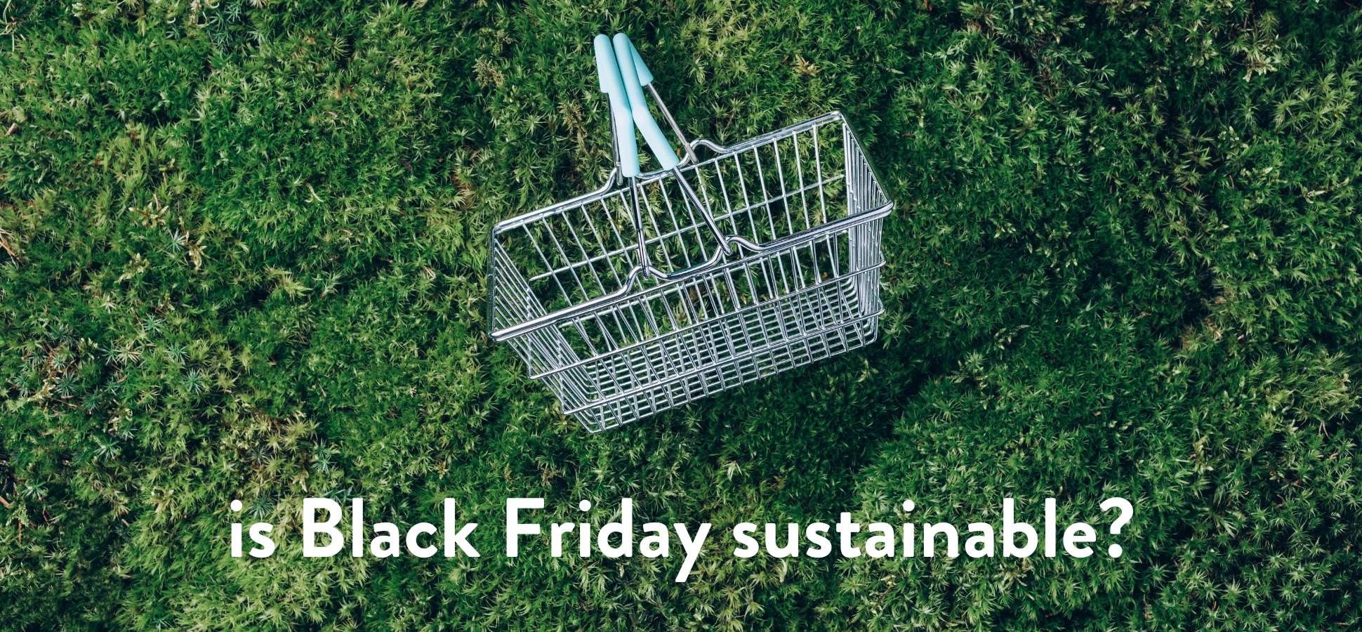 Black Friday Sales 2023, Are they Sustainable?