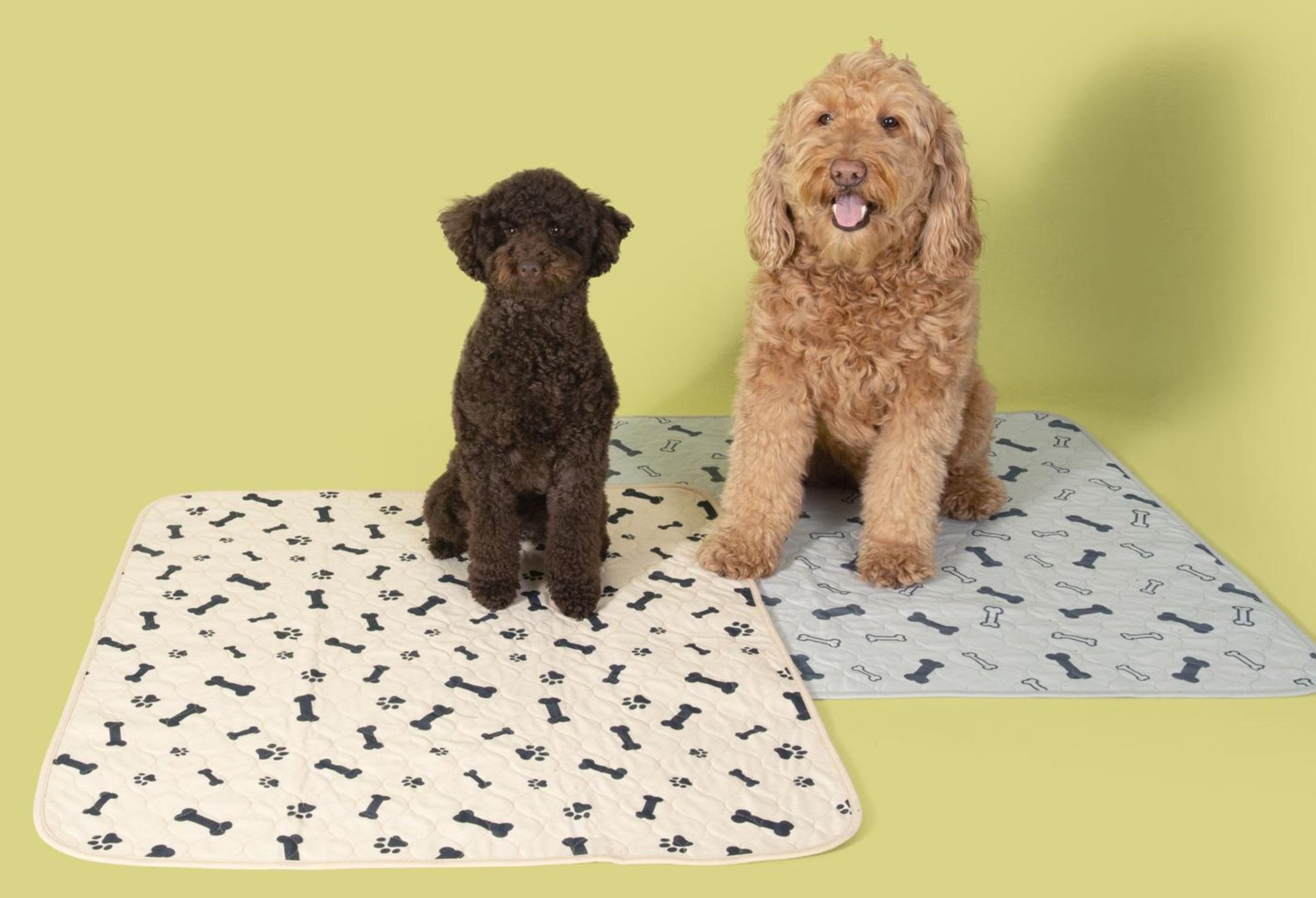 How to Wash Your Reusable Pee Pad Potty Buddy™