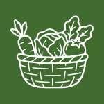 Harvesting Your Garden