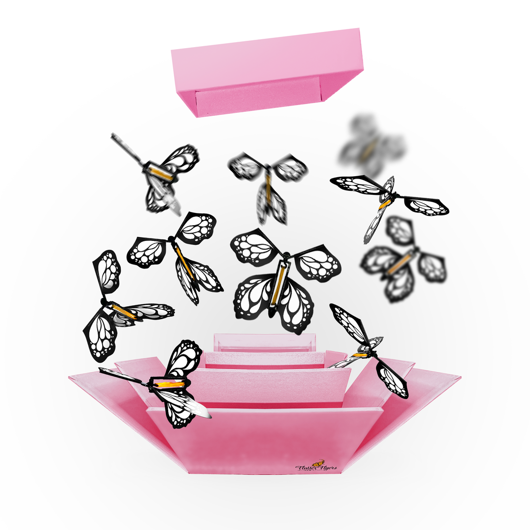  FLUTTERFLYERS FlutterBox I DIY Explosion Butterfly Gift Box Kit  * preparation required Black DIY FlutterBox +5 FlutterFlyers : ZenGoat LLC:  Health & Household
