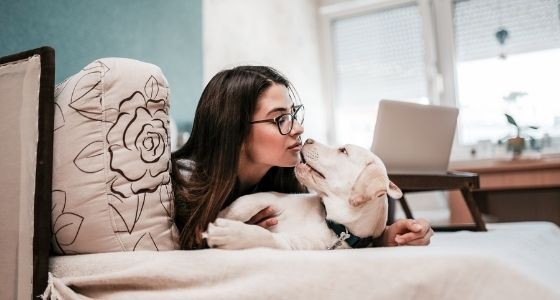 A Retriever dog and woman kissing
