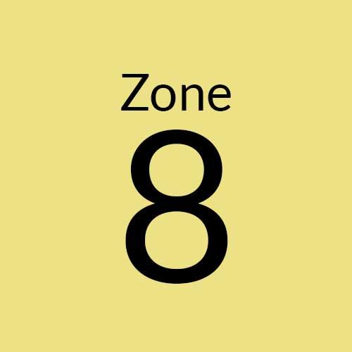 Zone 8