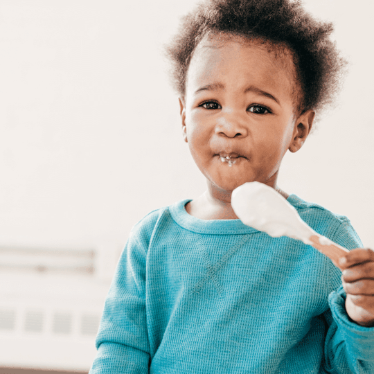 Toddler Snacks Ideas - blog image