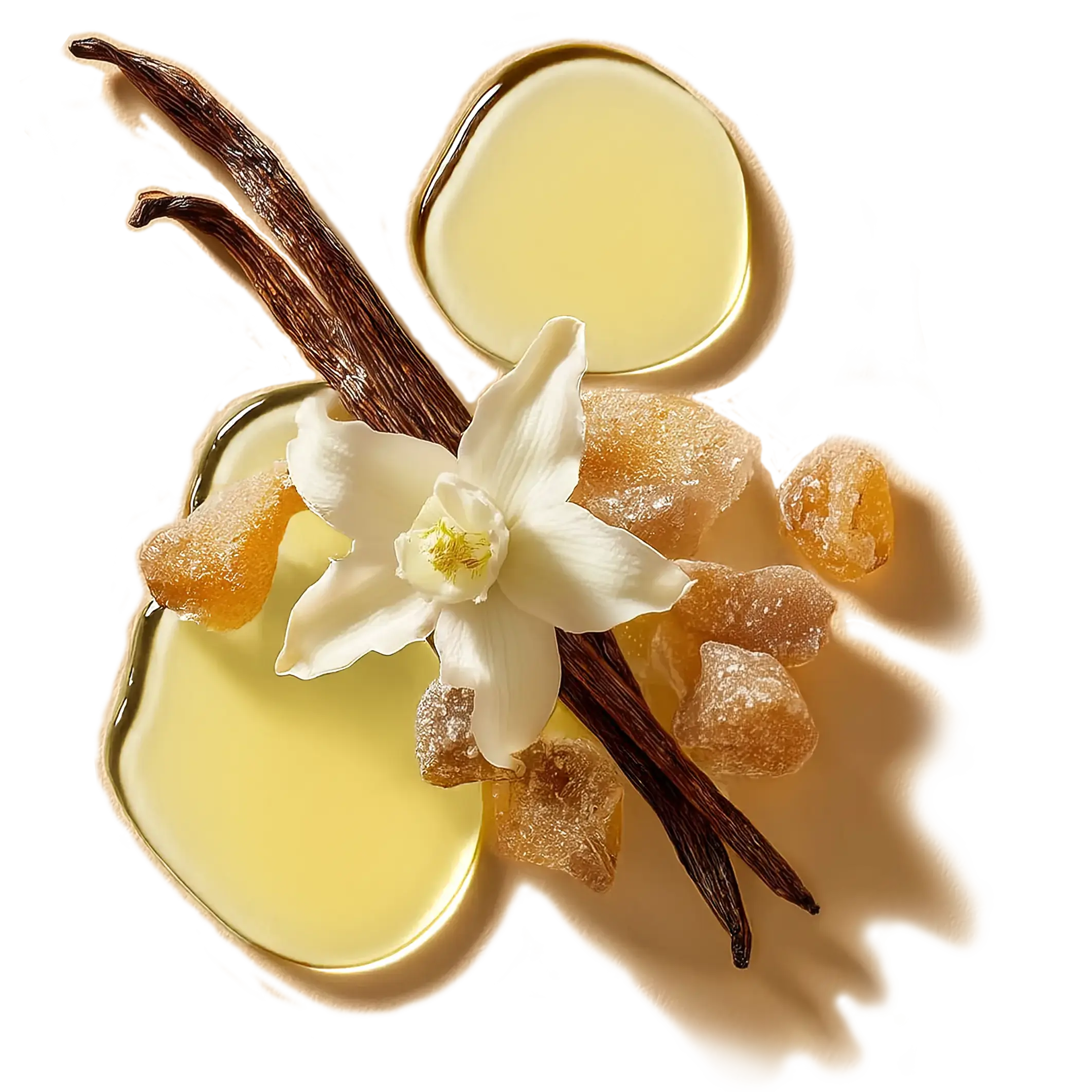 An aesthetic composition of few drops of Balaayah, frankincense, vanilla beans and it's flower
