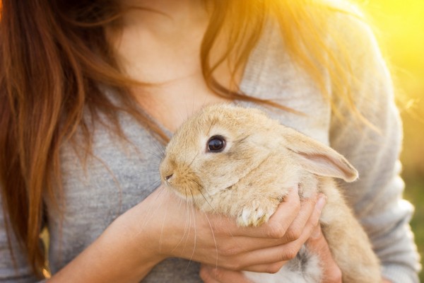woman holding rabbit