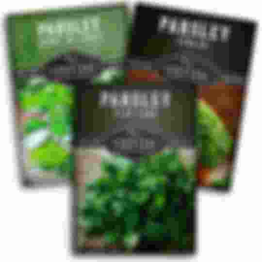 3 packets of parsley herb seeds