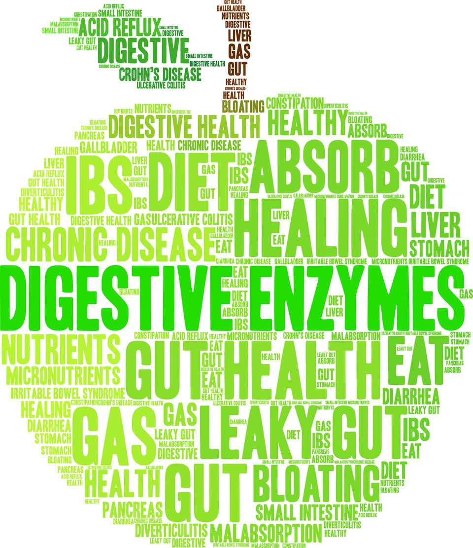 Digestive enzymes