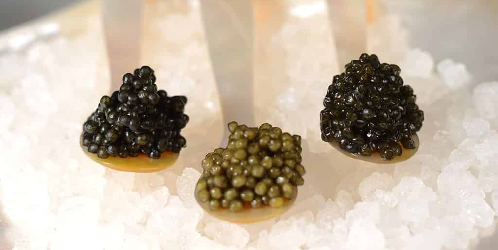 is caviar kosher - caviar in mother of pearl spoons