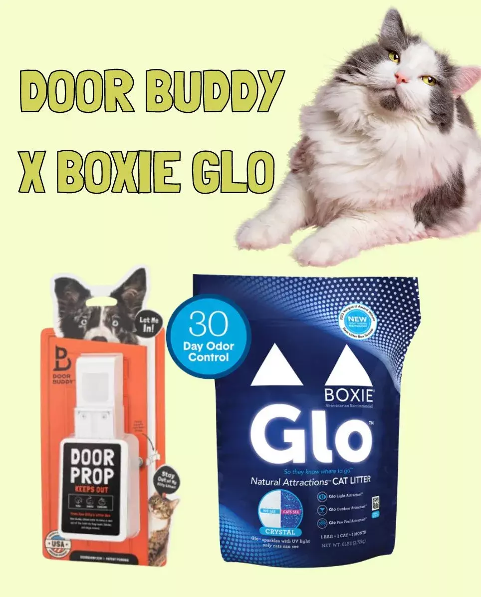 door buddy x boxie glo