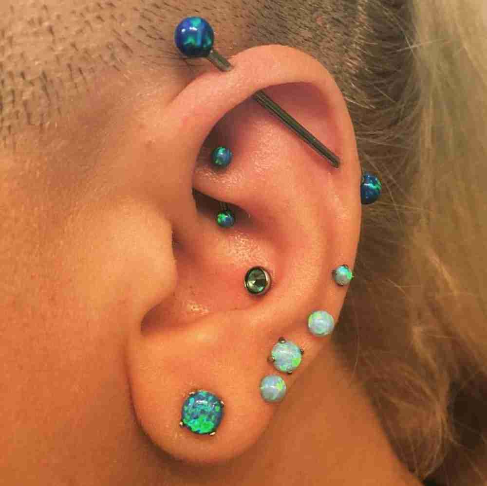 conch stud