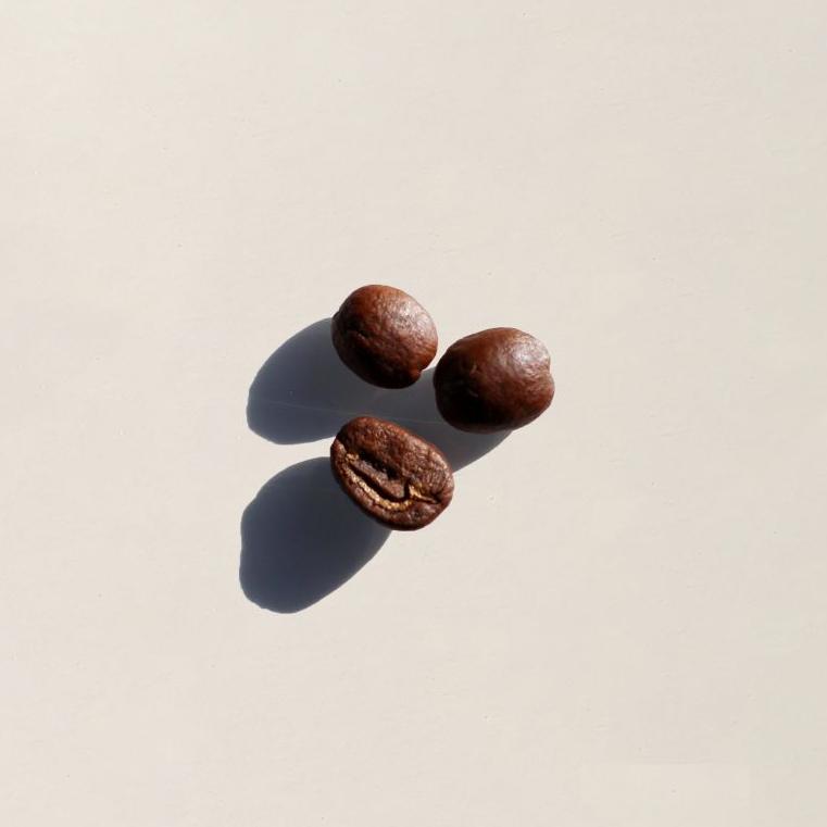 Thyro-Boost Manual Burr Coffee Grinder
