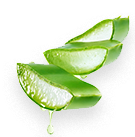 Aloe Barbadensis Leaf