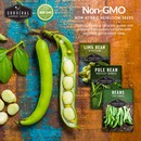 Non-GMO non-hybrid heirloom bean seeds