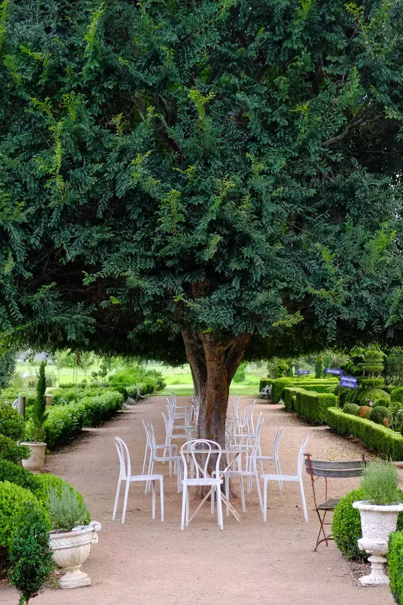 White metal garden chairs arranged beneath a large shade tree along a gravel path, framed by neatly clipped hedges and formal garden plantings in a country estate garden.