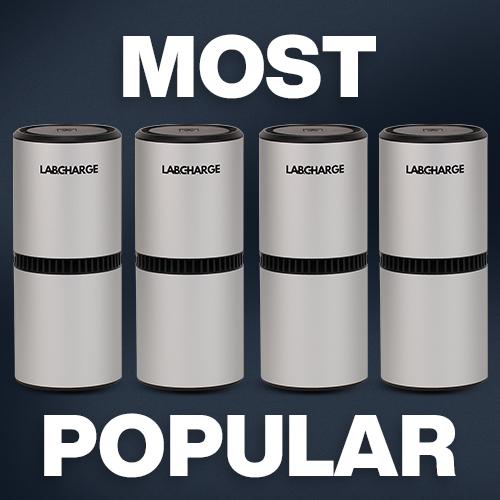 Pearl Silver Ionic Air Purifier