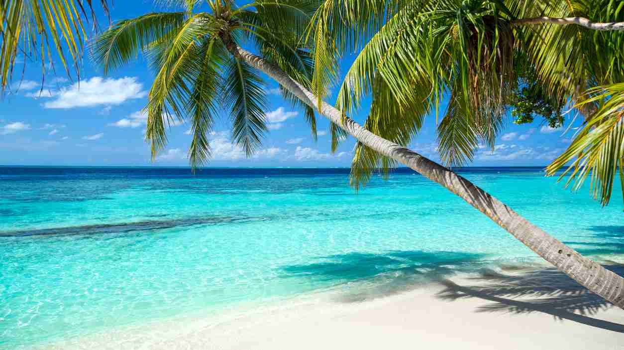 Tropical paradise beach