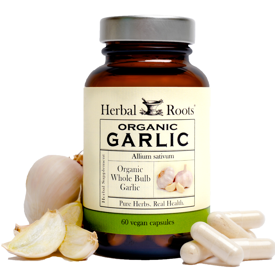 A bottle of Herbal Roots Organic Garlic supplement with a label showing the product name and an image of a whole bulb garlic. In front of the bottle, there are two cloves of garlic and a handful of pills.