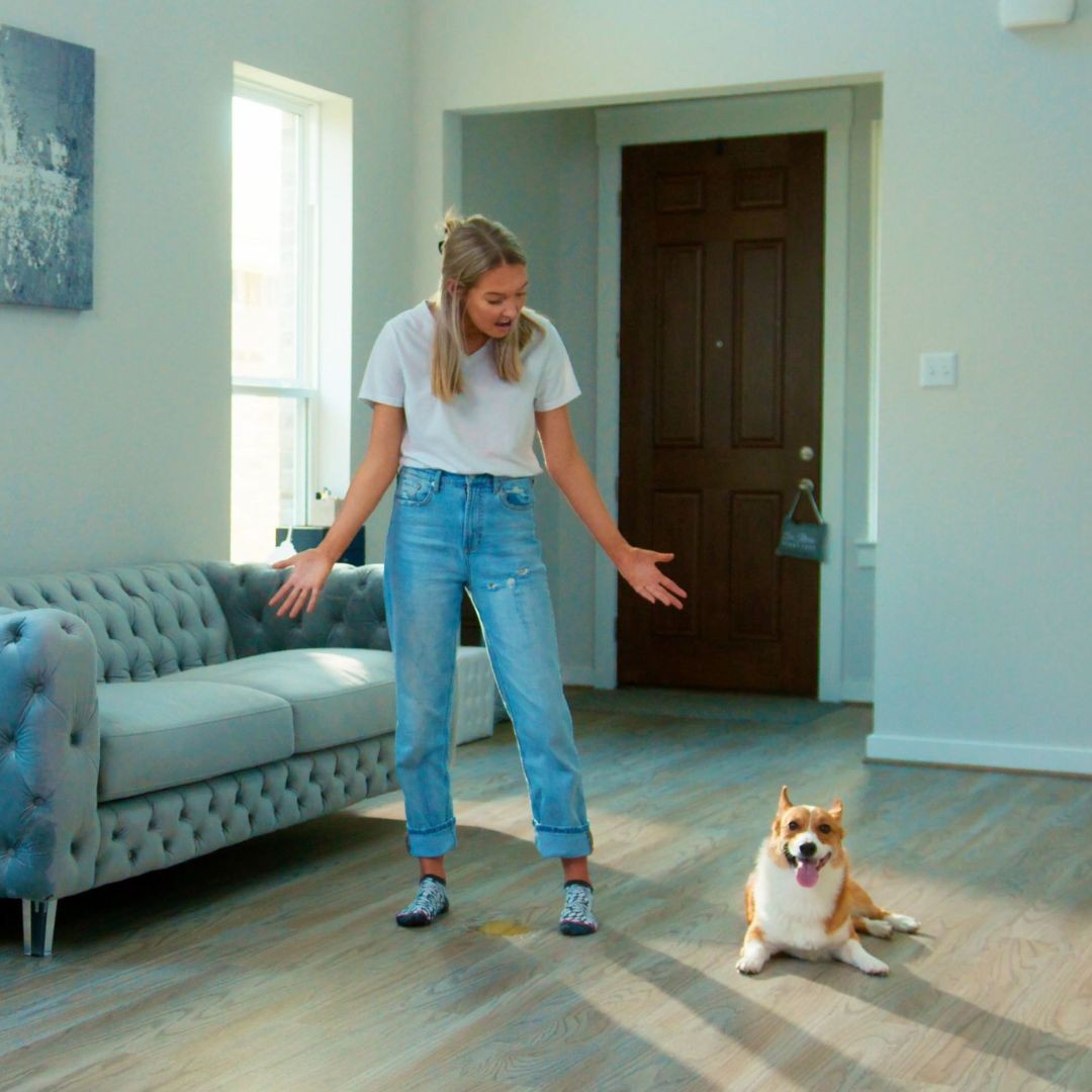 Woman exclaiming at dog pee on wooden floor