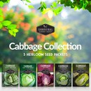 Cabbage Collection - 5 varieties of heirloom cabbage
