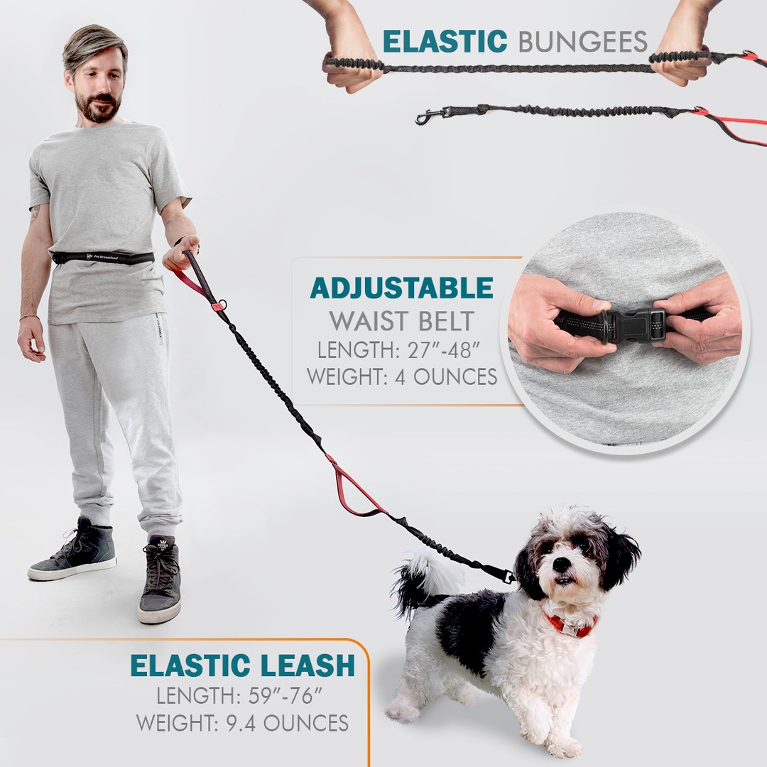 Padded Handle and Reflective Stitching Small Cycling and Training Medium and Large Dogs Walking Hiking Pet Dreamland Hands Free Dog Leash for Running Bungee Harness with Adjustable Waist Belt 