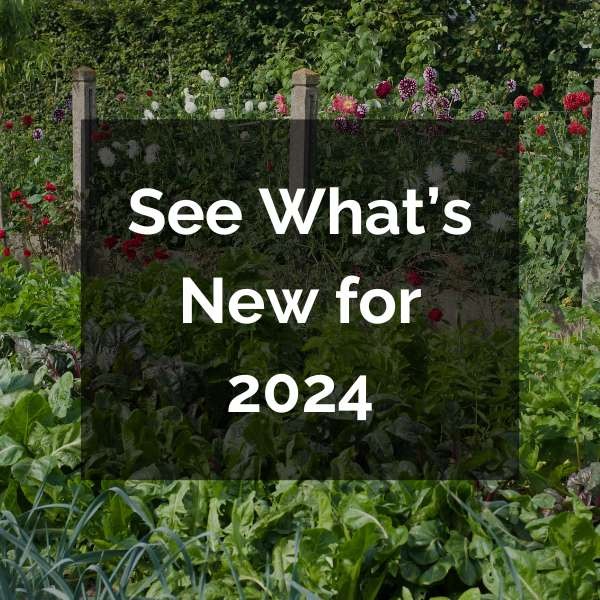 2023 new seed arrivals