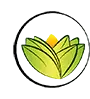 Logo The Ayurveda Experience