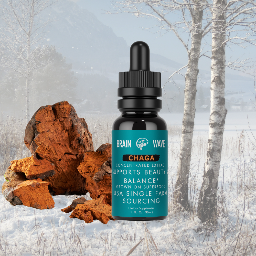 Chaga Mushroom Tincture | Brain Wave Mushroom Tincture