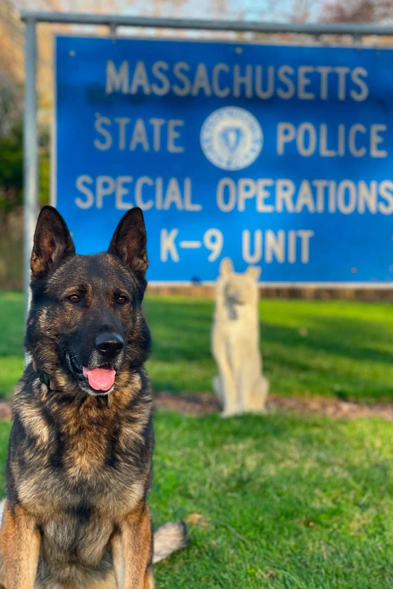 k9 odin 314