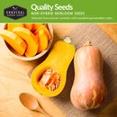 quality non-hybrid heirloom squash seeds