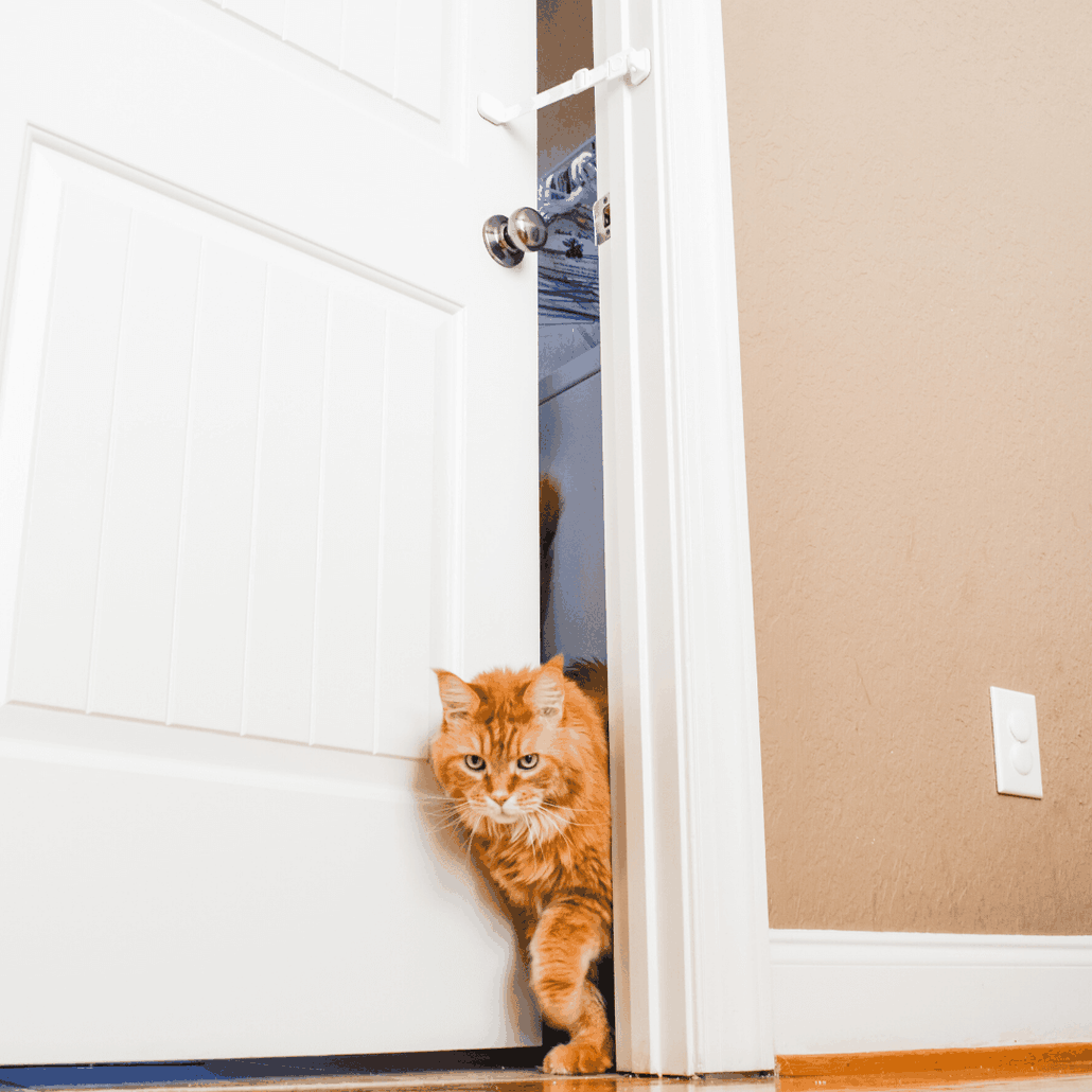 The Door Buddy® Dog Proof Litter Box Baby Proof Doors