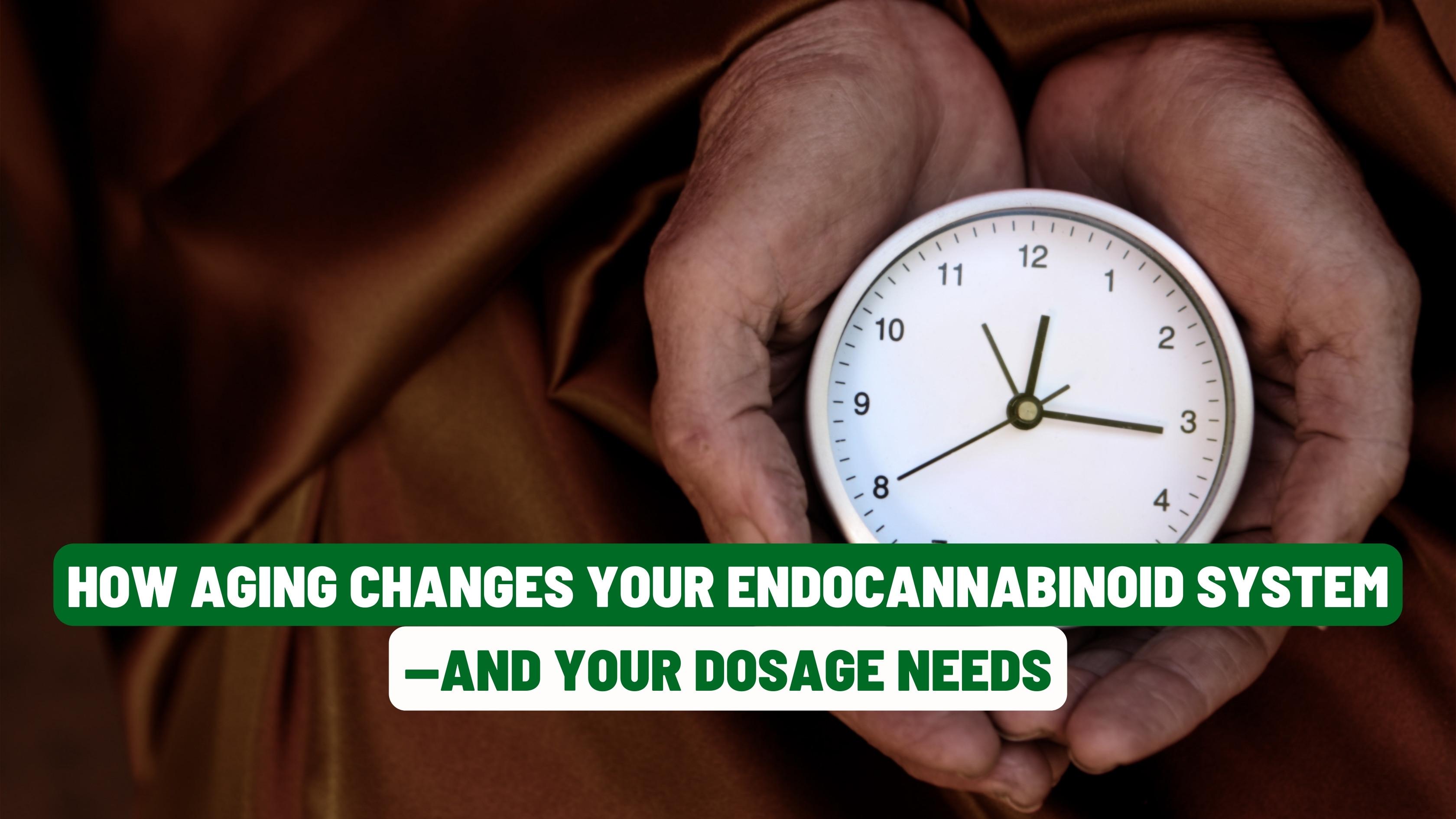 How Aging Changes Your Endocannabinoid System—and Your Dosage Needs