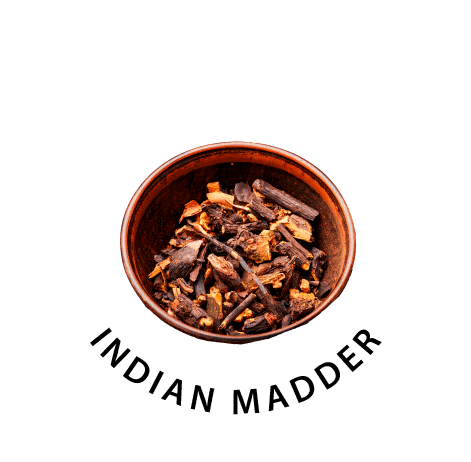 Indian madder