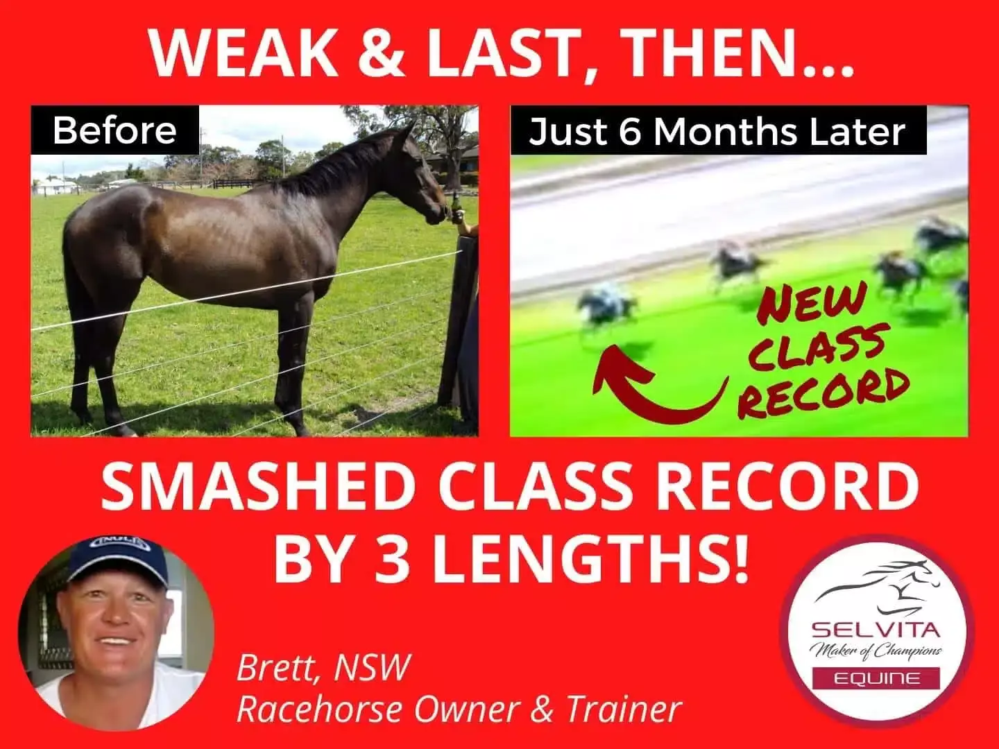 Selvita Equine Before and After