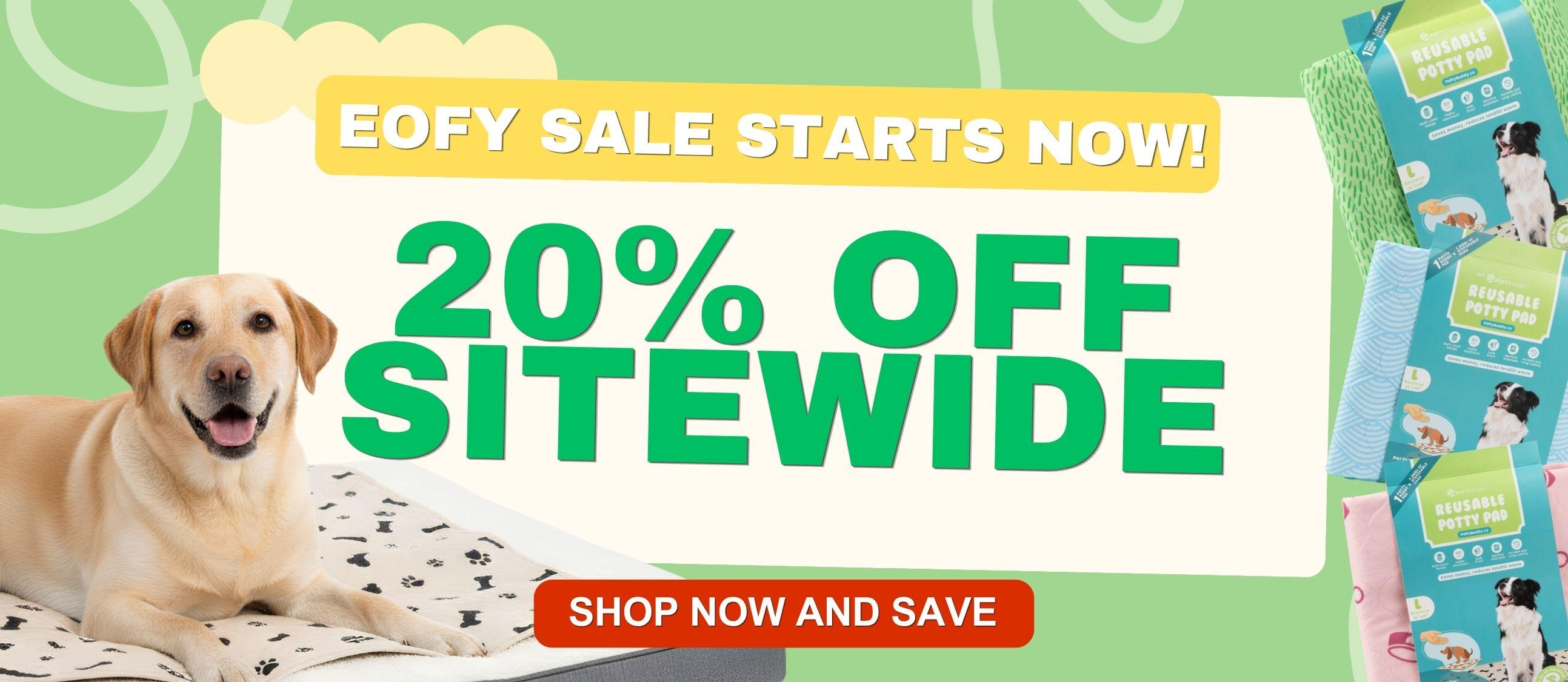 Potty Buddy Promo Banner for EOFY Sale - 20% OFF