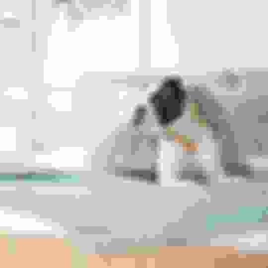 Why does dog pee on my bed and How to Stop It Potty Buddy Potty Buddy™