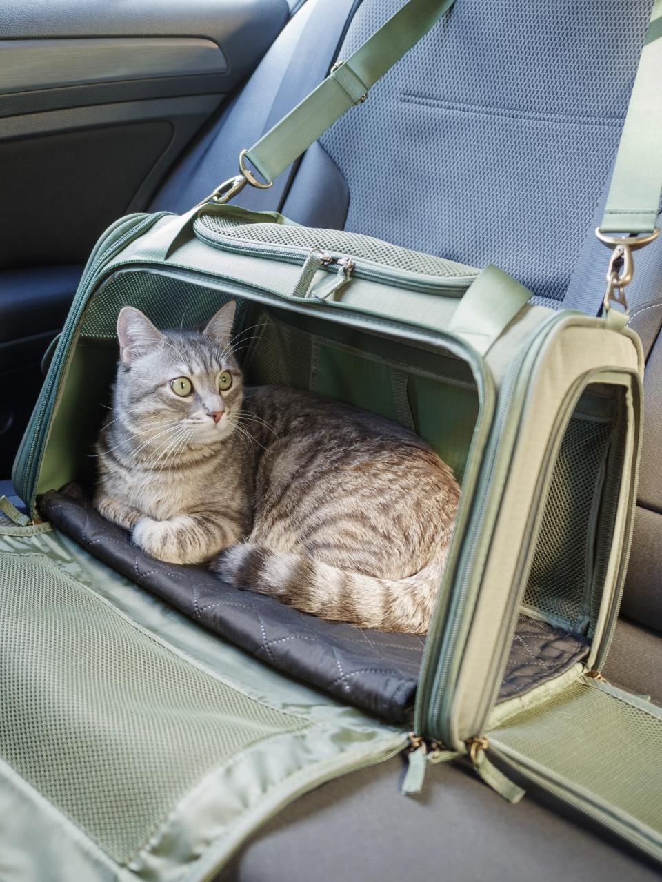 A calm cat rests comfortably inside a green travel carrier on a car seat.
