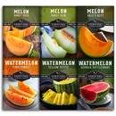 Melon seed collection - 5 watermelons and cantaloupes