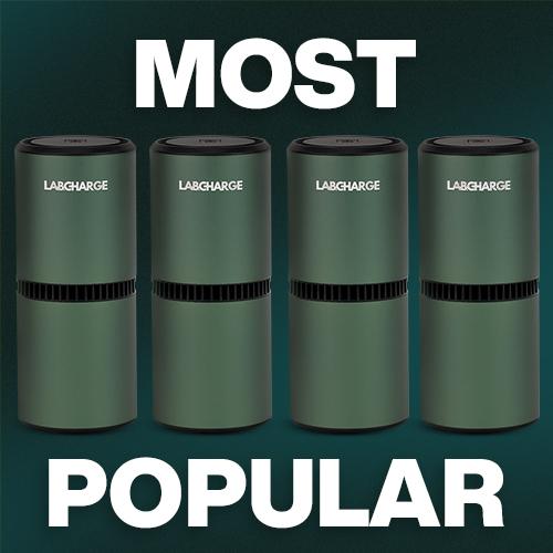 Forest Green Ionic Air Purifier