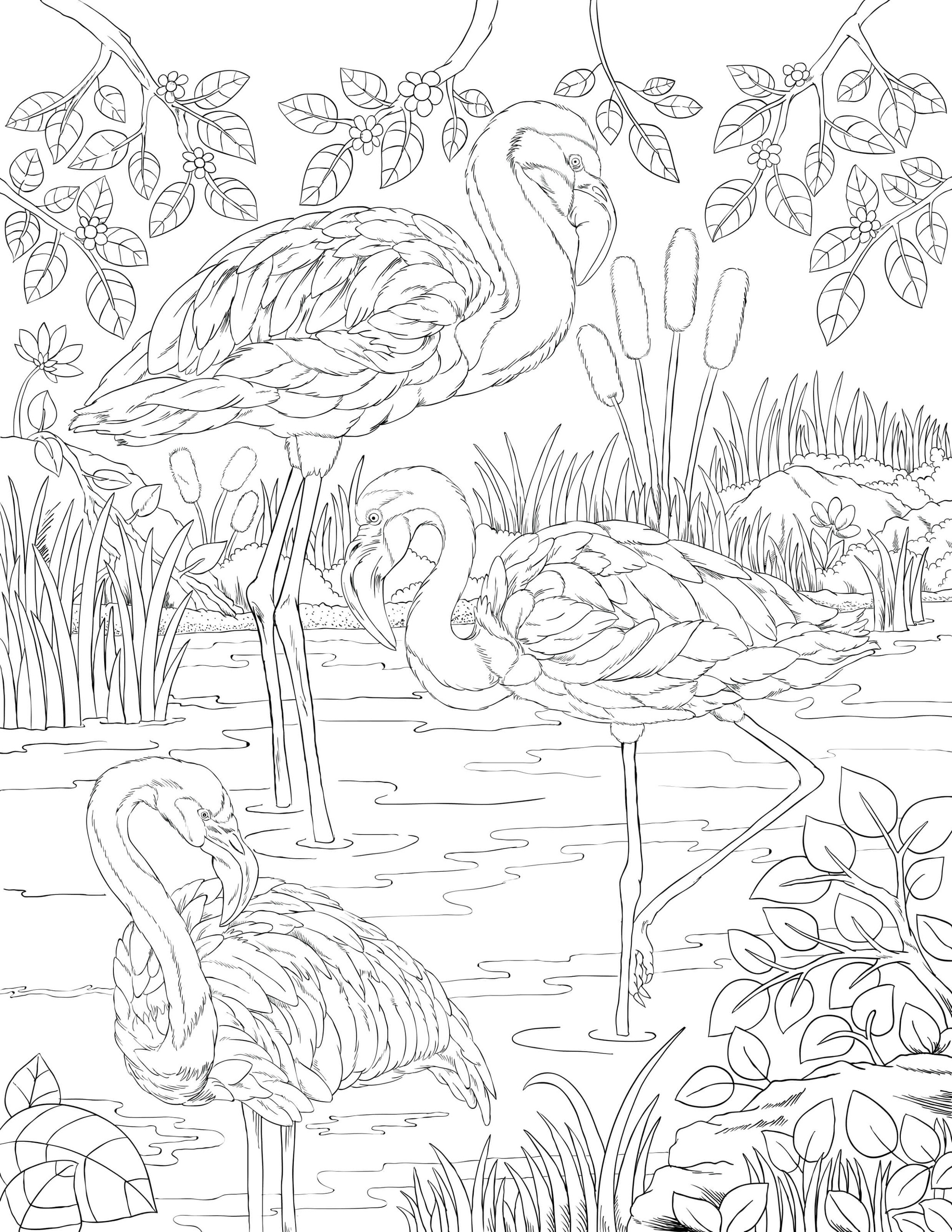 Comprar Flamingo Coloring Book for Adults: Best Adult Coloring