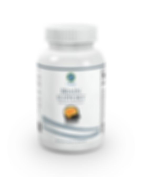 Best Ingredients for Memory and Brain Function – 1 Body