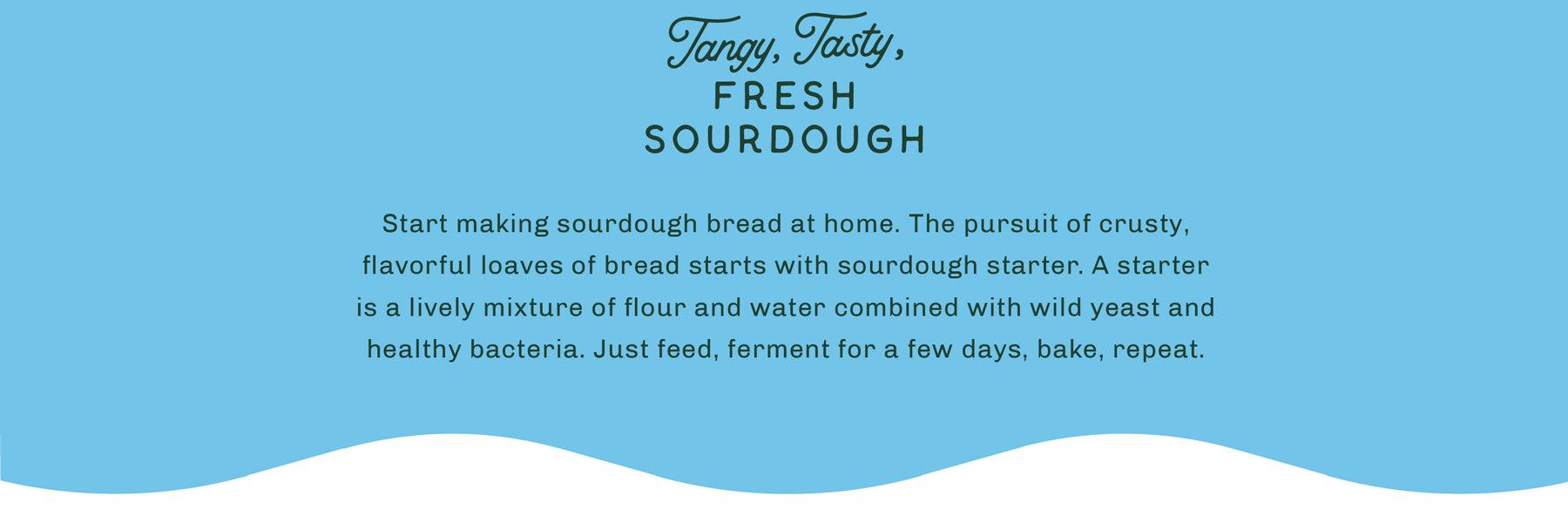 Tangy, Tasty, FRESH SOURDOUGH