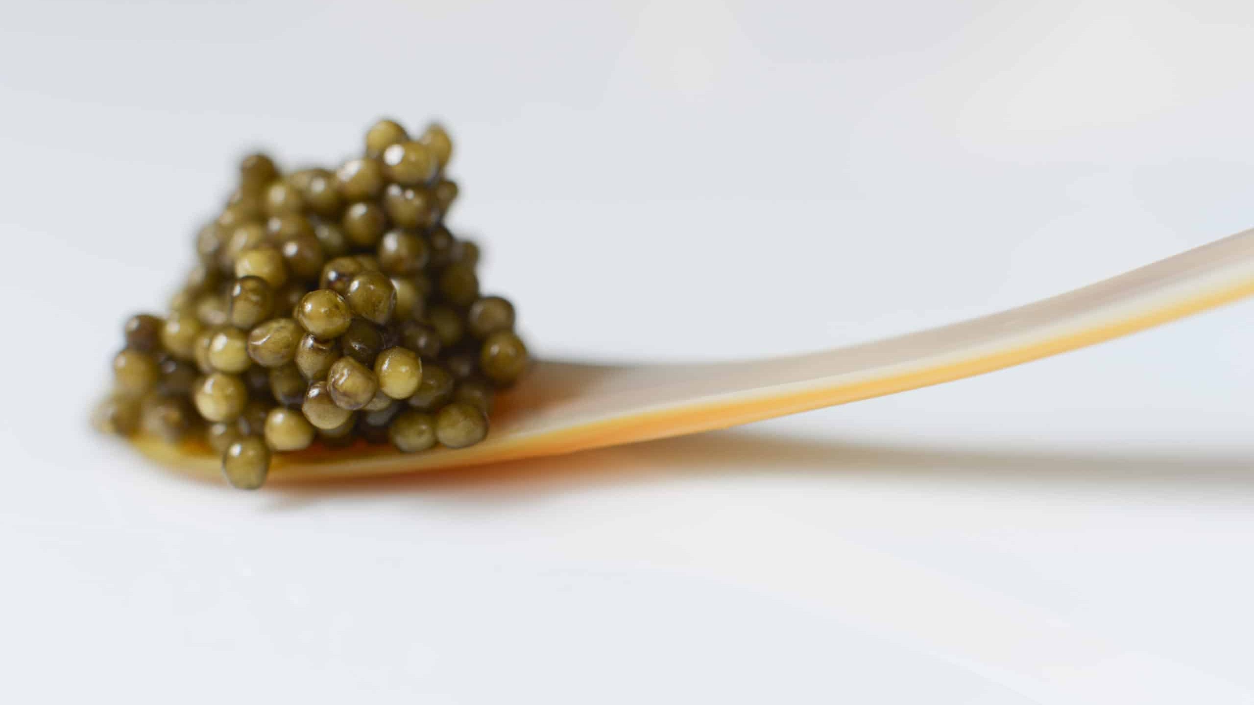 The best caviar grade from Sterling Caviar, Imperial Caviar, on a mother of pearl spoon