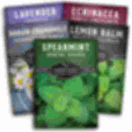 5 Herb Seed Packets for Herbal Teas